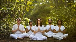 900 Hours Yoga TTC - 3 Months Teacher Training Course On Campus - English