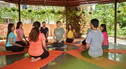 200 Hours Yoga Teacher Training Course - 2 Months Yoga TTC Online and On Campus - English - Batch 2